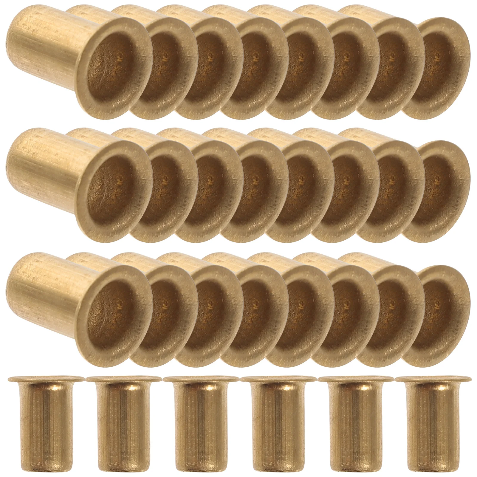 

30Pcs Premium Copper Shelf Pegs M6x10 for Cabinet Shelving Fixtures Strong Corrosion Resistant Shelf Support Clips
