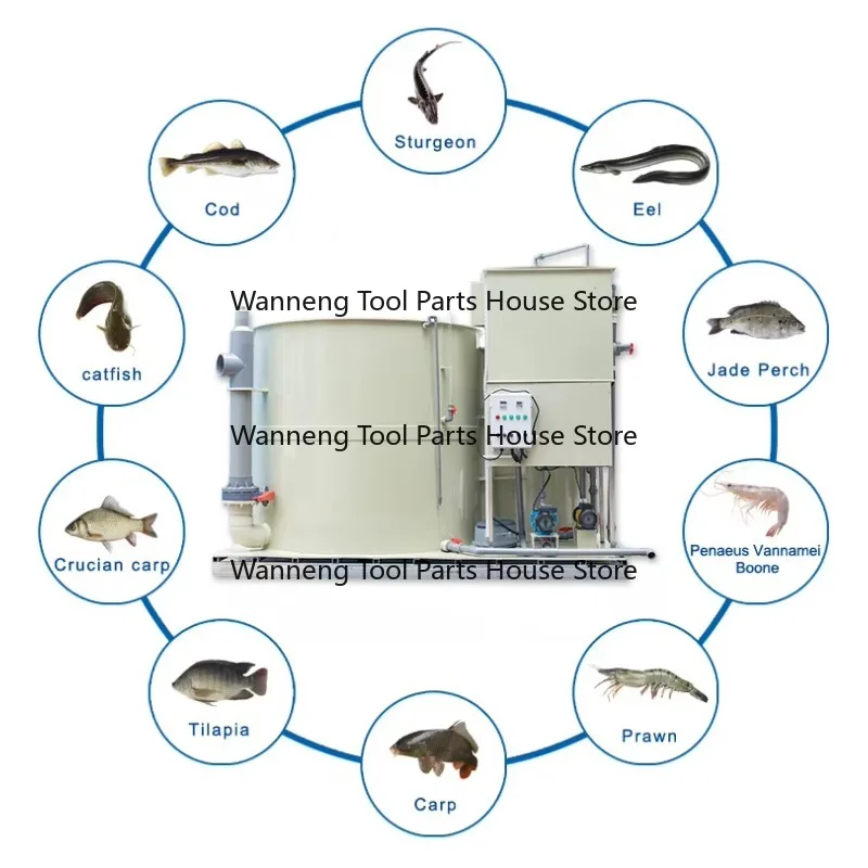 

Aquaponics System for Fish and Vegetable Indoor Mini Ras Systems Fish Farming Aquaculture Equipment All in One