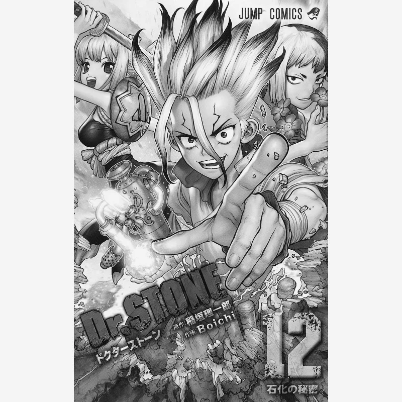 

DrSTONE 12 Boichi Riichiro Inagaki Shueisha 9784088820552 Книга