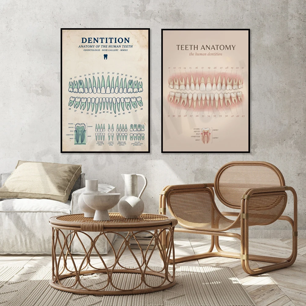 Dental art prints: Anatomical diagrams of human teeth, medical themes, posters for medical office walls.