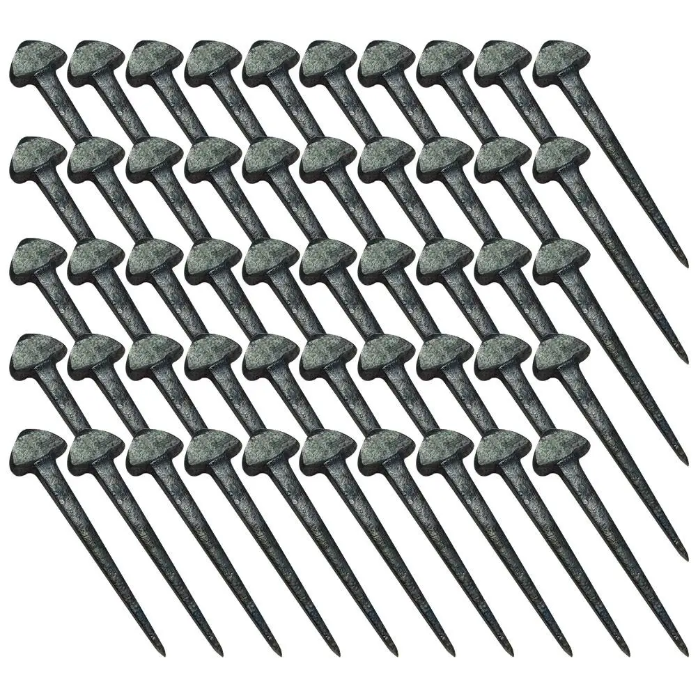 50 Pcs Farrier Tools for Horses Horseshoe Nail Sports Hoof Nails Iron Horseshoes