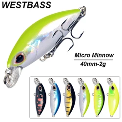 WESTBASS 1PX ๋ง์ดํฌ๋ก ๋ฏธ๋
ธ์ฐ ๋ฏธ๋ผ 4cm-2g ์ฑํน ๋์ Leurre Trolling Jerkbait ๋
น์ฌ์ง ์๋ ํํฌ๊ฐ ์๋ ์๋๋ฌ์ด ํ๋ ์๋ธ๋ฌ cebo