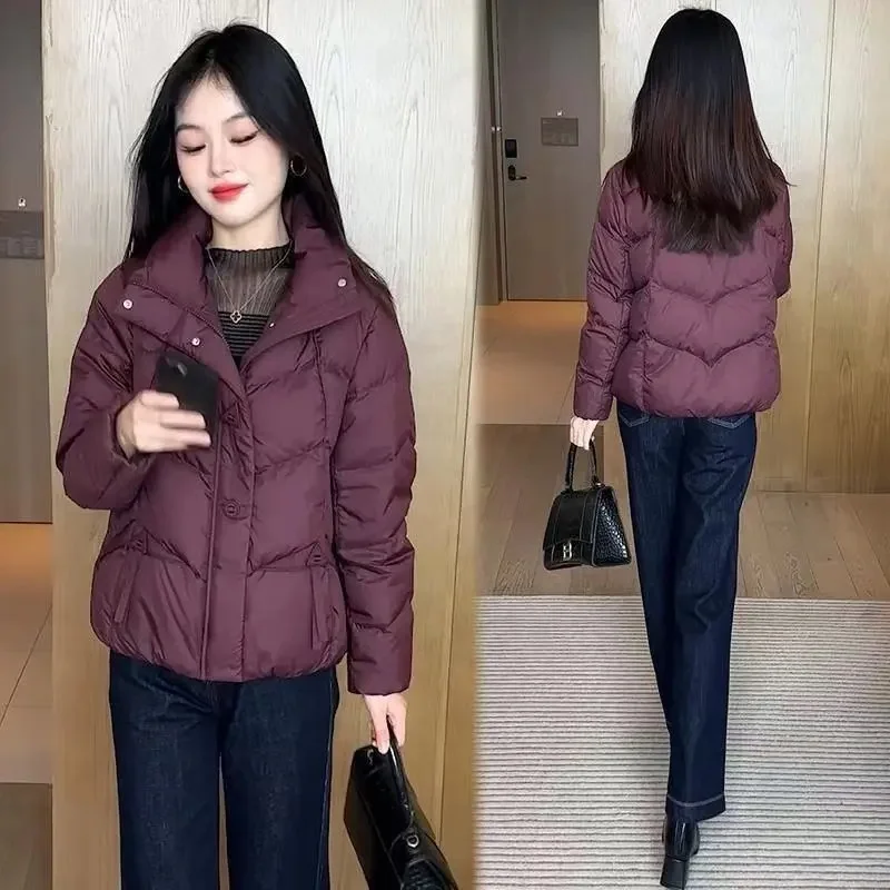 

Fashionable Short Style New Down Cotton Jacket 2025 Winter Stylish Slimming and Thickening Warm Casual Cotton Jacket