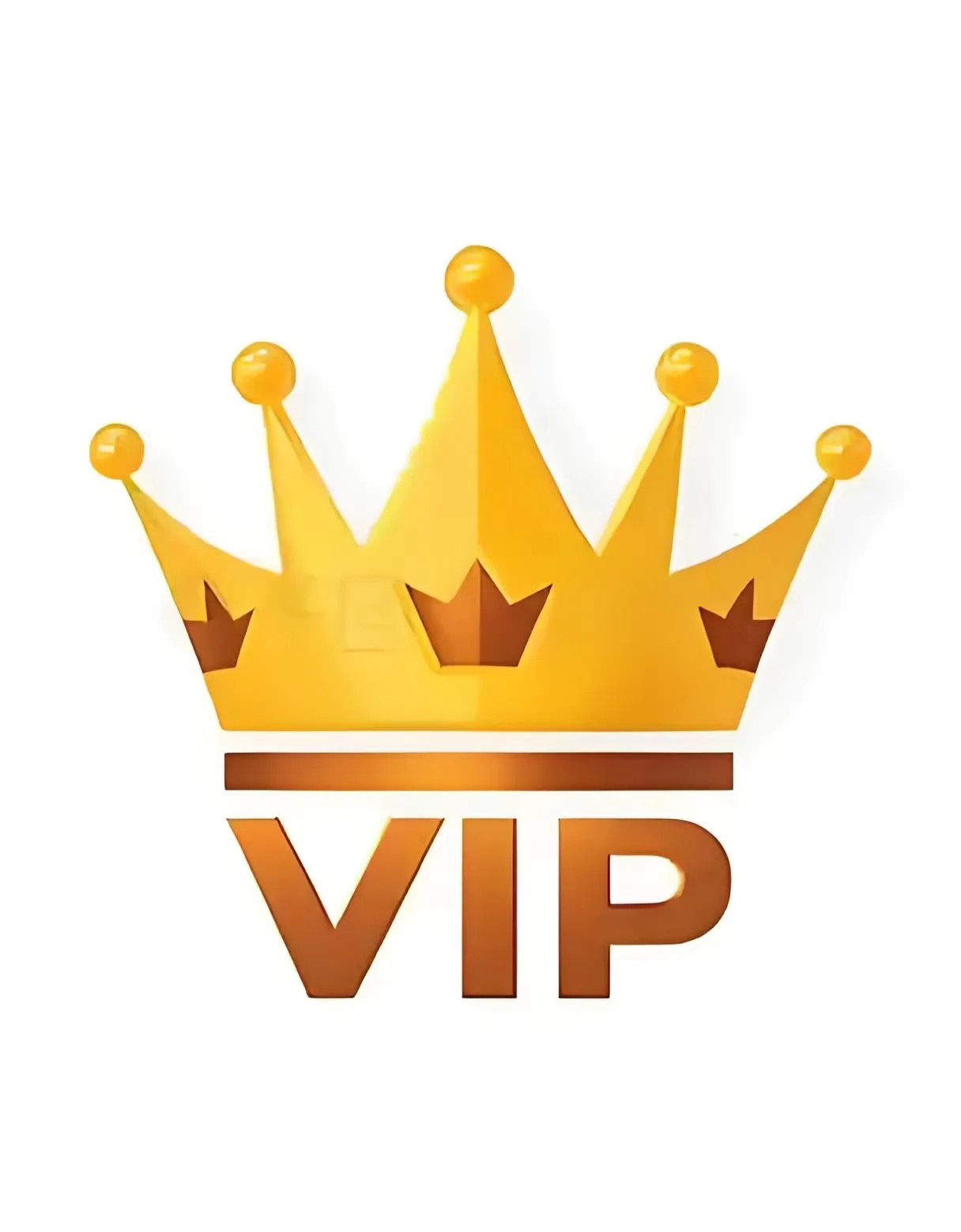 

VIP-Shop1105006474 Store-VIP