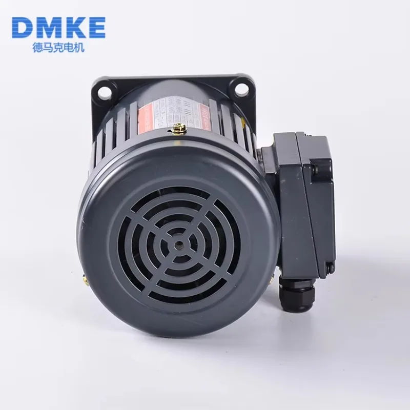 50HZ 60Hz 220V 100W AC PRECISION GEAR MOTOR SINGLE PHASE