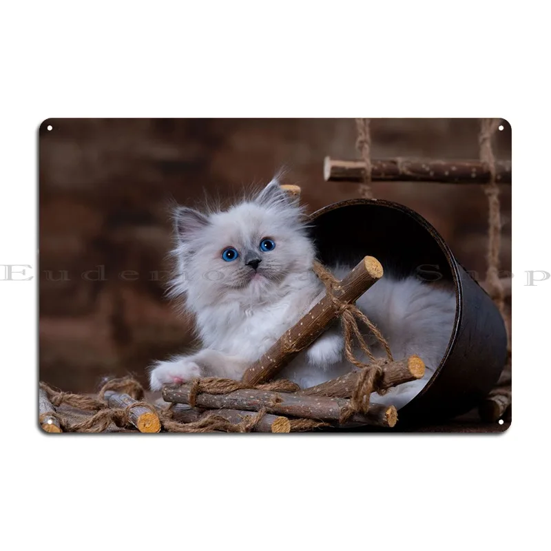 Cat Cats Feline Kitty Metal Plaque Poster Bar Cinema Cinema Design Club Tin Sign Poster