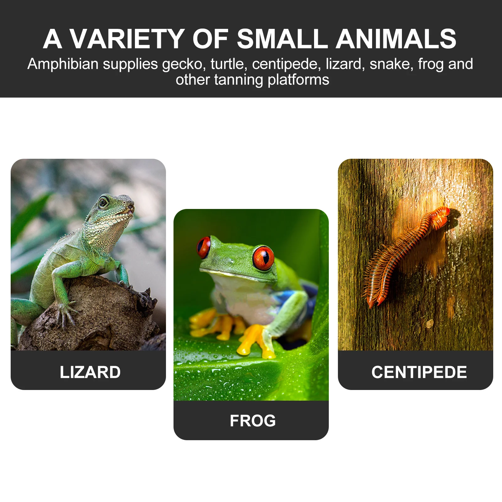 

2pcs Tortoise Feeding Cave Plastic Reptile Hideout For Leopard Gecko Reptile Box Feeder Hiding Shelter Decor Adornment