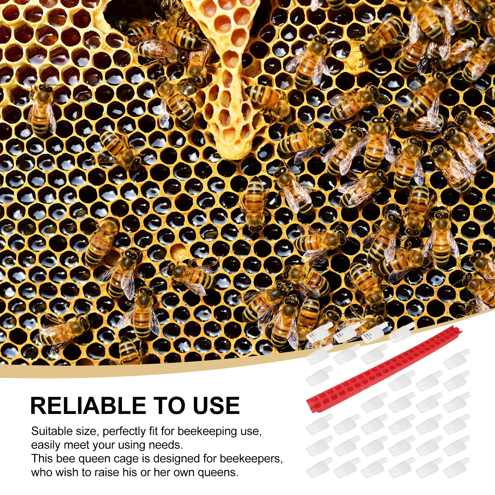 

1Set Professional Cage Wearresistant Long Life Beekeeping Tool Accessory Cage Beekeeping Tool