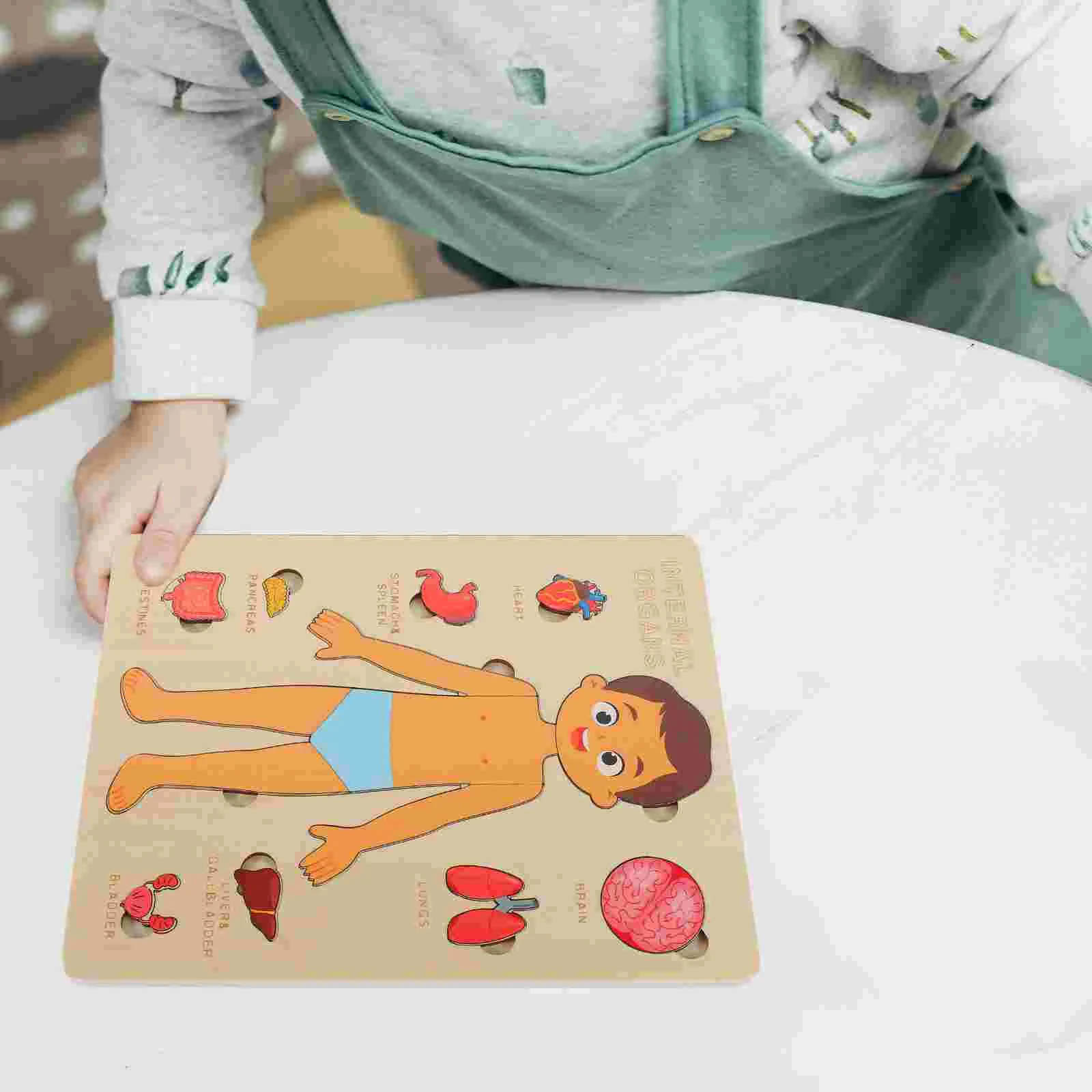 Struttura del corpo umano Puzzle organi Puzzle giocattolo riconoscimento dei bambini sussidi didattici per l'infanzia strumento per la prima educazione modello di anatomia