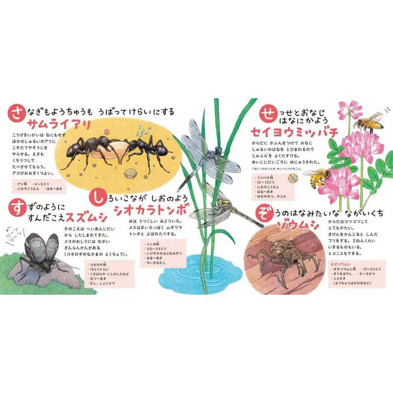 العلاقة بين الموتى والموتى ناوكو أاماميا هاكوسينشا 9784592763048 كتاب