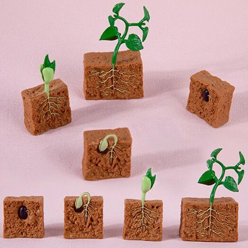 محاكاة دورة الحياة الحيوانات نموذج الأطفال لعبة مونتيسوري الحشرات دورة نمو النبات علم الأحياء لعبة تعليمية TMZ