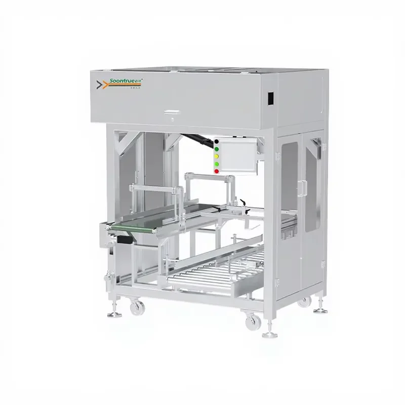 Two-axis Robotic Arm Carton Packing Machine Fully Automatic Case Packing and Packaging Machine