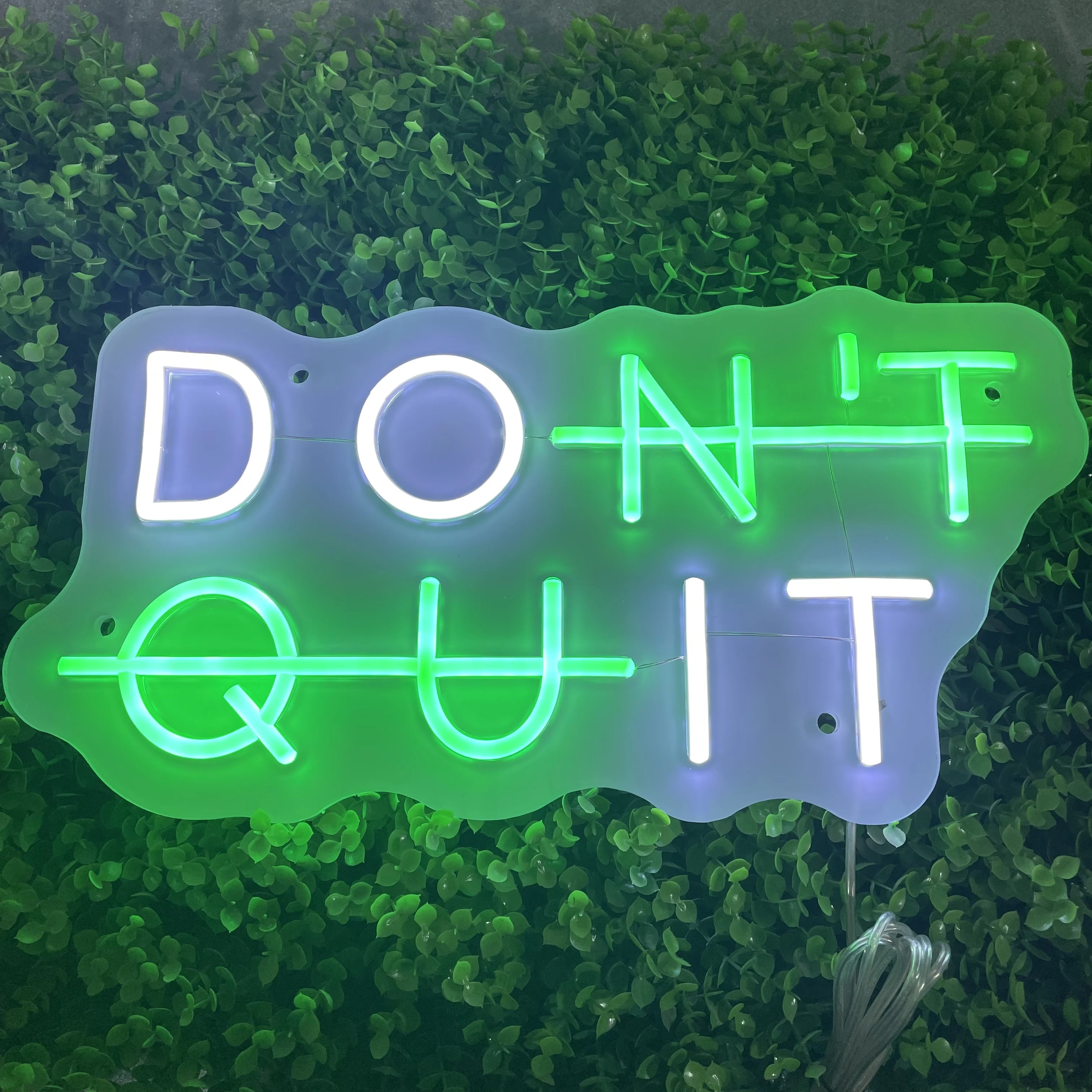 Toysign Custom Text Neon Sign, DON’T QUIT Neon Wall Light - Motivational LED Sign for Home or Office Decor, Unique Birthday Gift