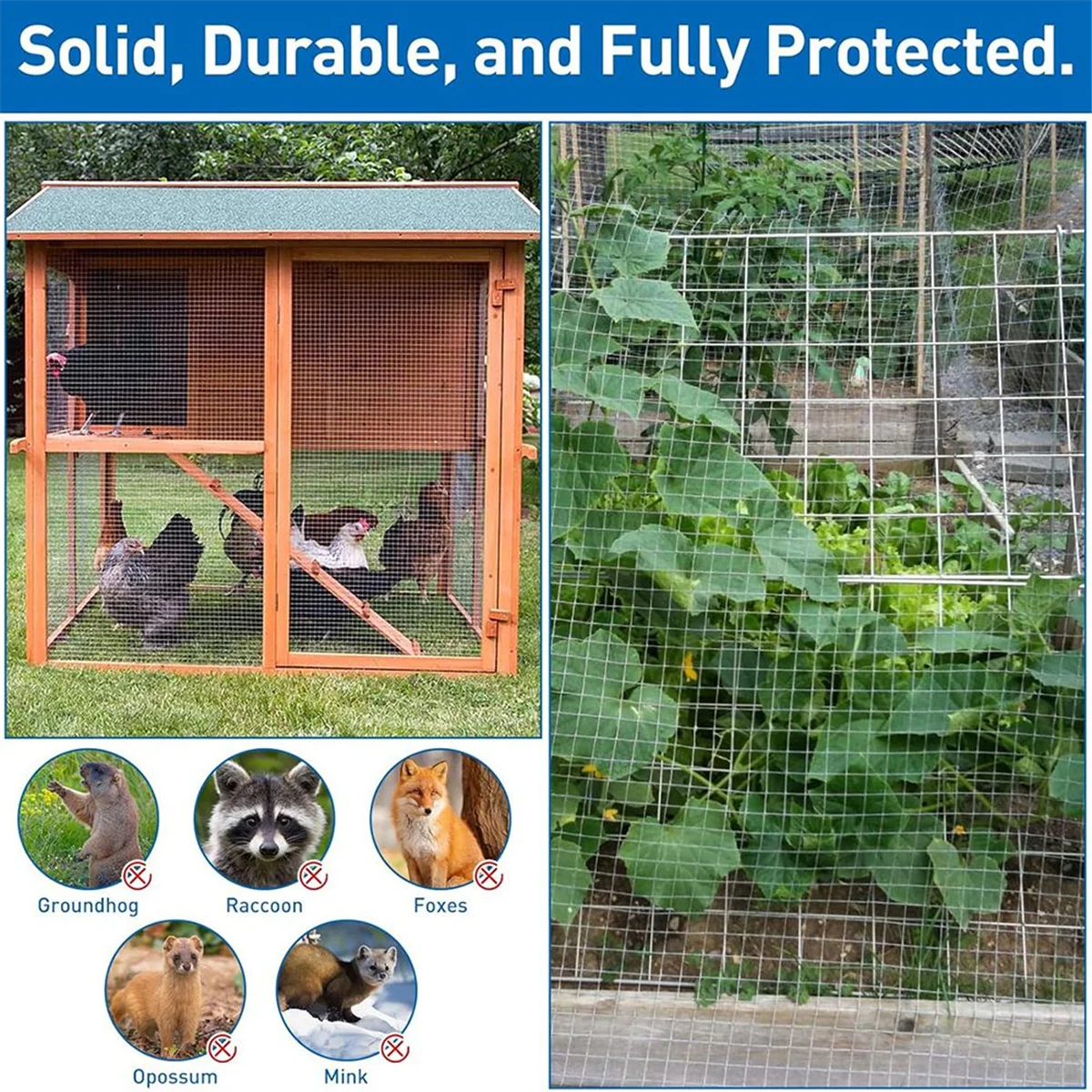 

Оцинкованная фурнитура ABTX — сетка 1/2 дюйма, 16 дюймов X 6 футов, сварная проволока для защиты животных и сада