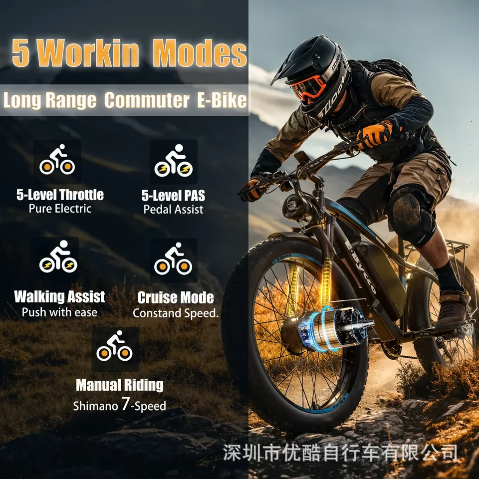 EB10 E-Bike 4000W Motor Electric Bicycle 52V32AH Battery 24 Inch Tire 55km/h Suspended Soft-Tail Frame mountain Electric Bike image 8