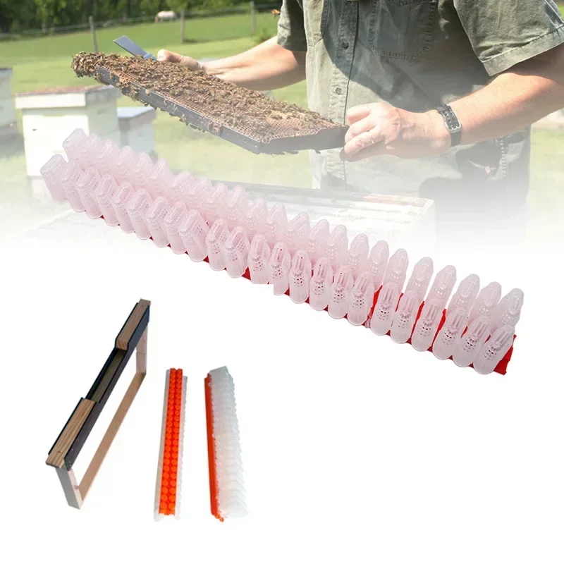 A A New Type Of Insect Free Prisoner King Cage Bee Cage Protection King Platform Anti Bite Control King