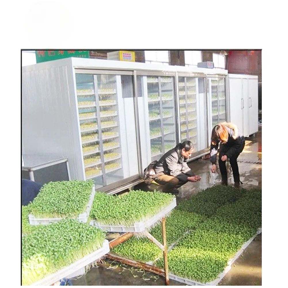 Commercial Bean Sprout Growing Machine/Sprouts Growing Equipment/Automatic Botty Sprout Machine