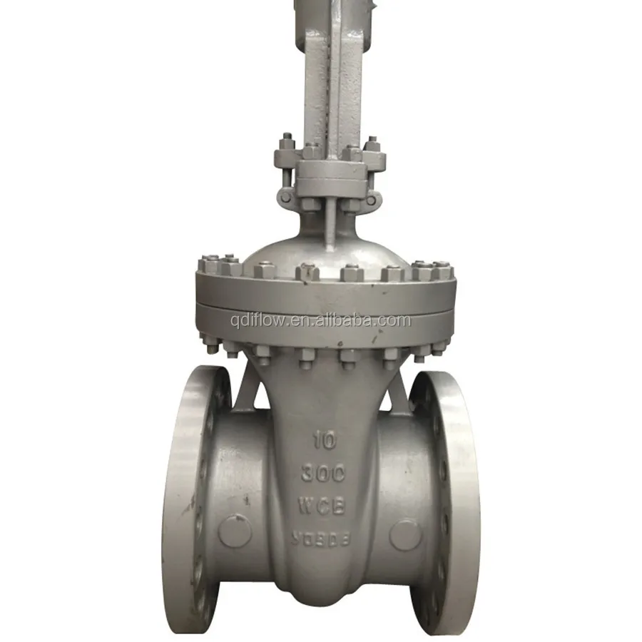 

ANSI Class 300 Gate Valve WCB