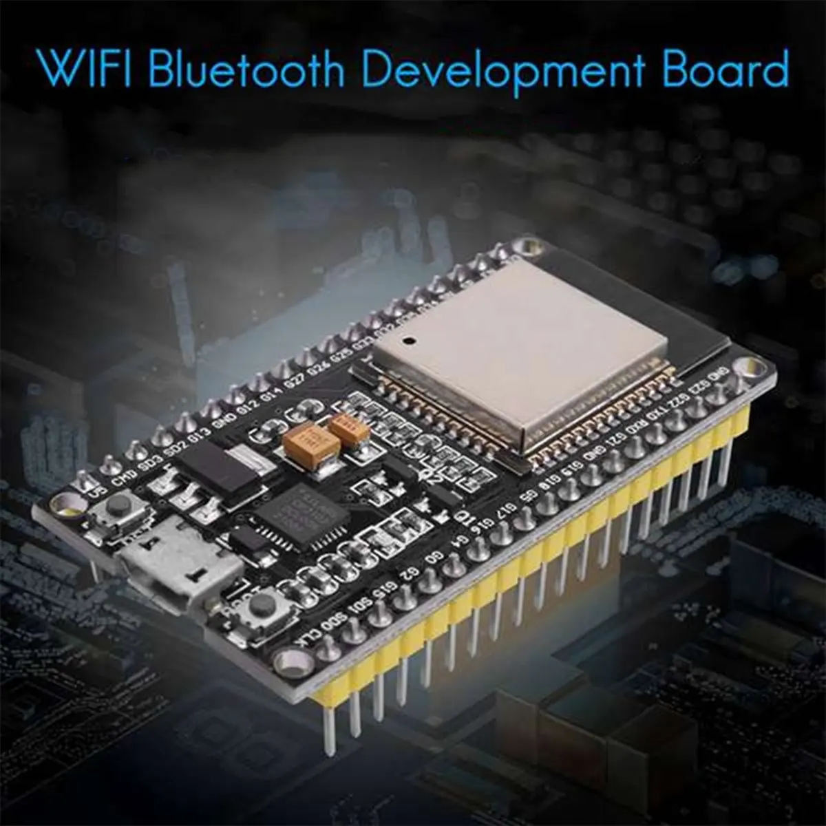 ESP32 Development B…