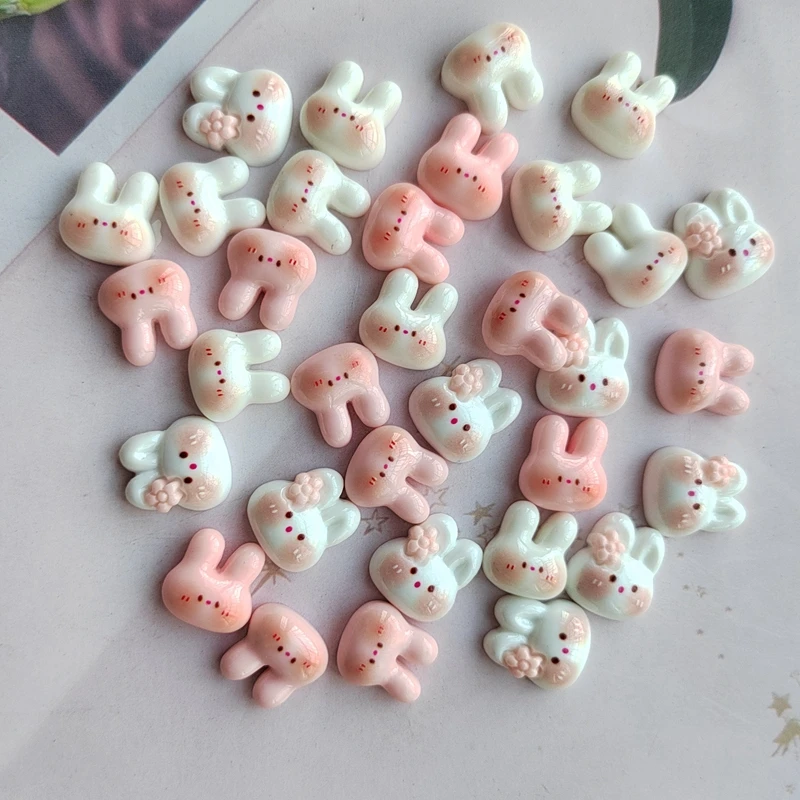 20Pcs Bright Surface Powder Blusher Bunny Series Resin Scrapbook DIY Fashion Hair Clip Mobile Phone Shoes And Hats Accessories