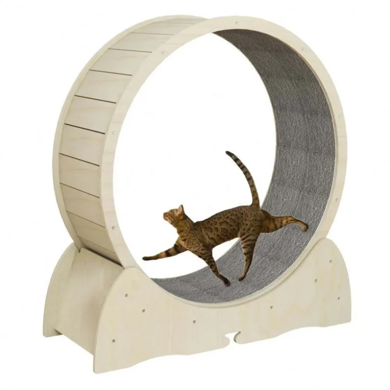 

Circle Household Interactive Pet Tread Exercise Running Wheel Cat Climbing Frame Fiberboard Cat Treadmill