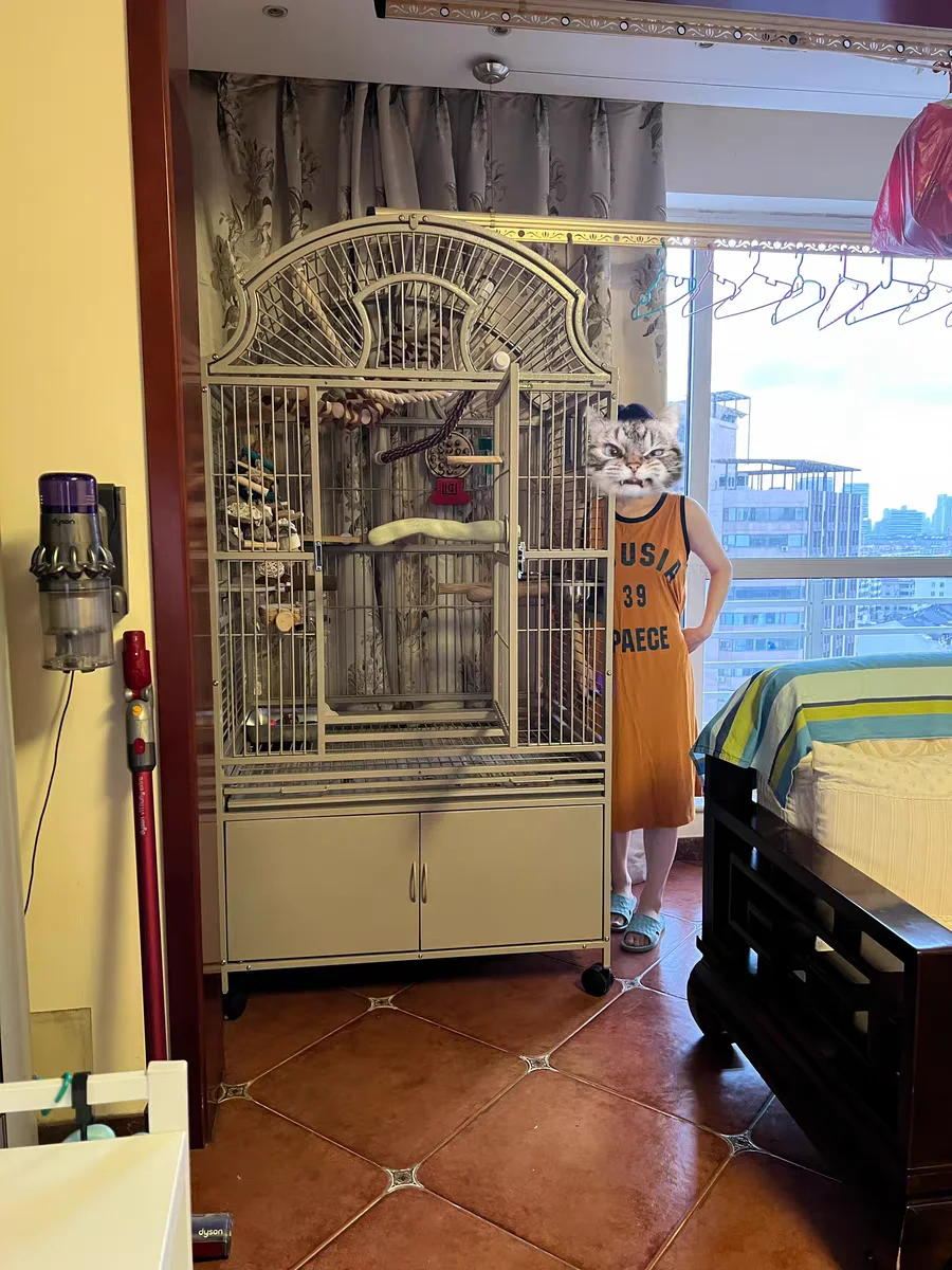 

for Tiger Phoenix Peony Bird Metal Cage RY4032 102*81*200cm Extra Large Deluxe Parrot Cage Pugilist