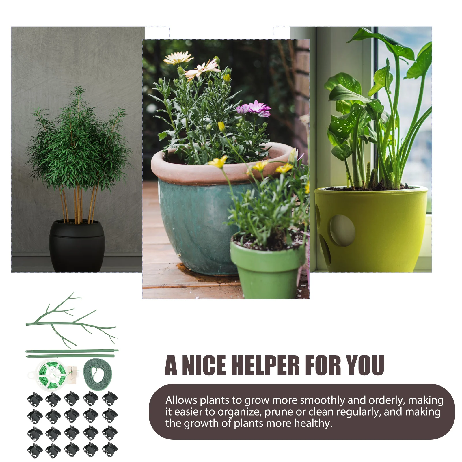 

1 set Plant Climbing Plastic Garden Plant Clips Clips Garden Stakes For Plants Indoor Outdoor Vine Stem Holder Frame