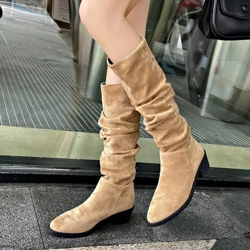 Shoes Female 2024 Fashion Sleeve Women's Boots Autumn Pointed Toe Denim Solid High Tube Chunky Heels Large Size Western Boots