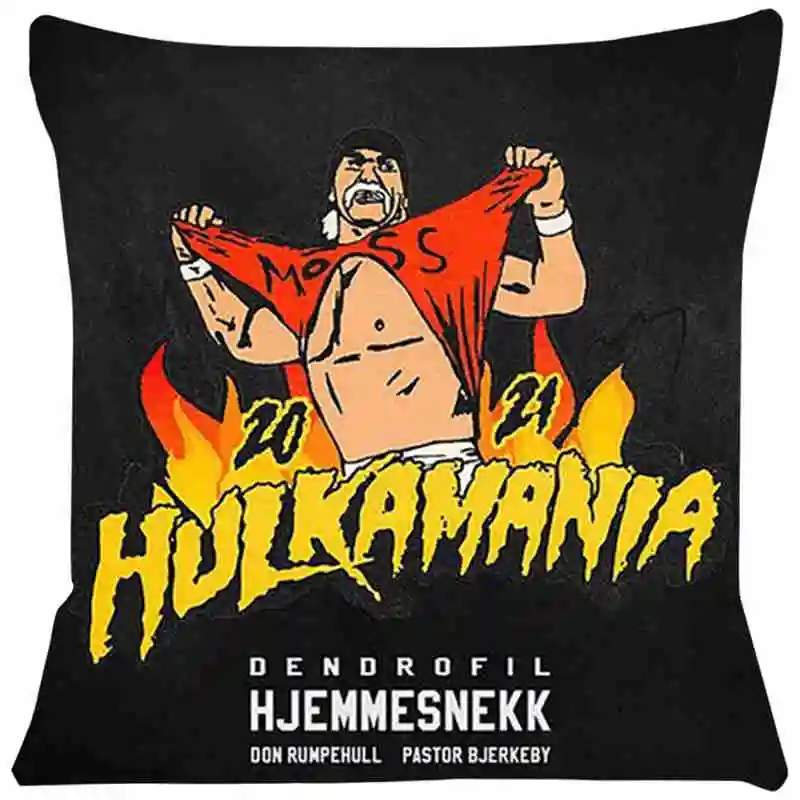 Cushion Cover Wrestler Living Room Stills Pillow For Chairs Home Decorative Cushions For Sofa Throw Pillow Cover SJ-227