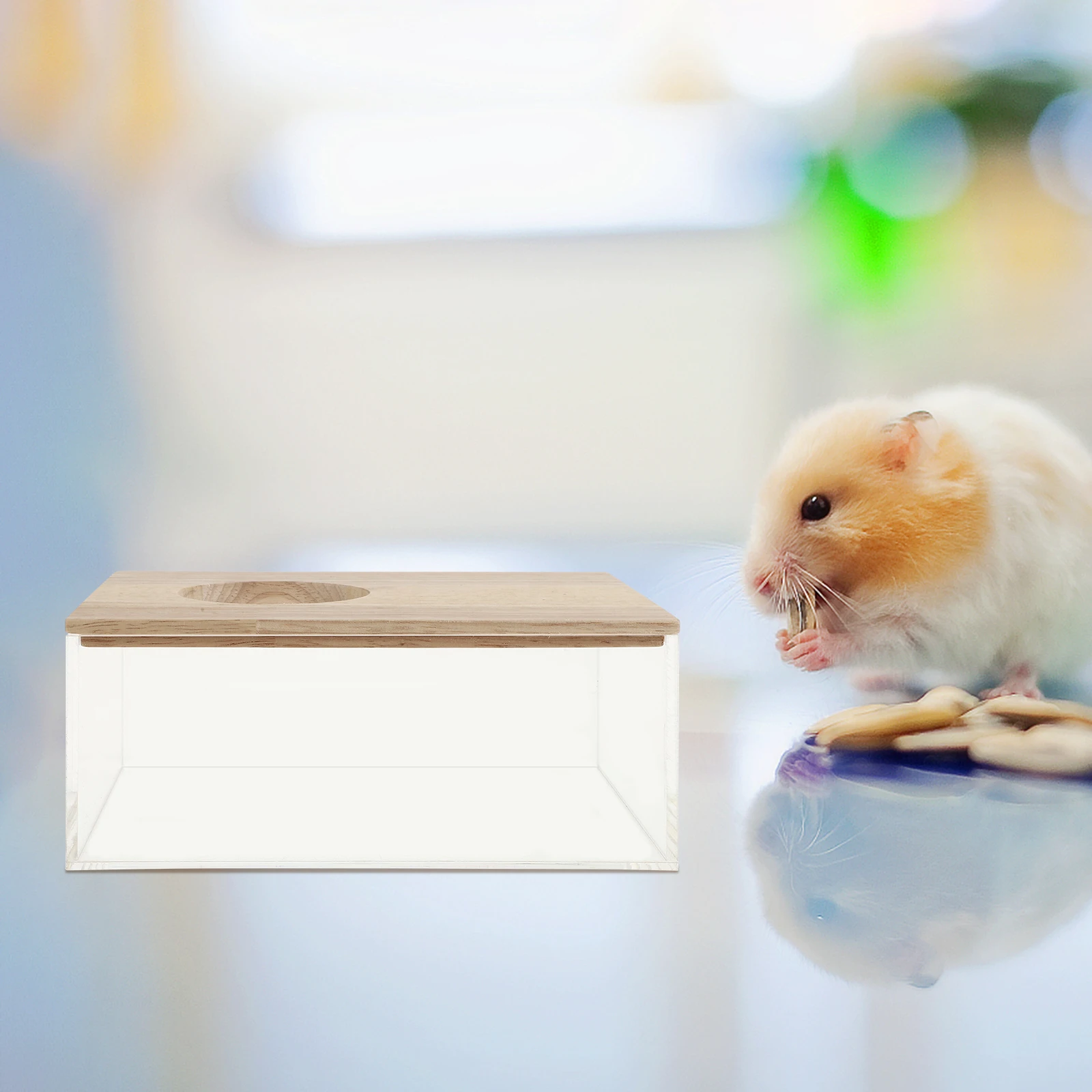 

Hamster Acrylic Large Transparent Bathtub Decorative Box Household Chinchilla Pet Store Easy Clean Safe Play