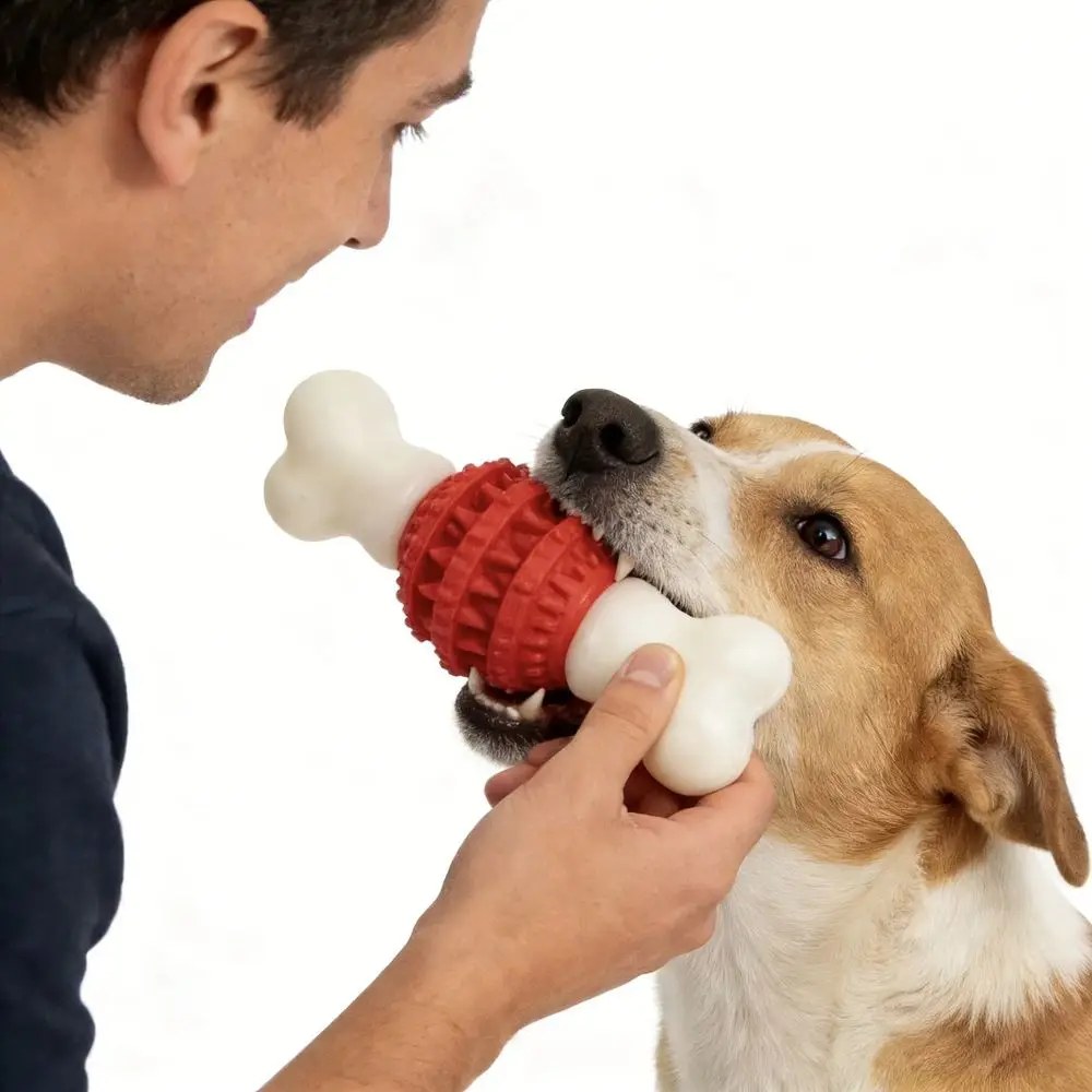 

Nylon Dog Chew Toy Dental Toothbrush Teeth Cleaning Reduce Chewing Boredom Relief Teething Training Toy For Medium Large Dogs
