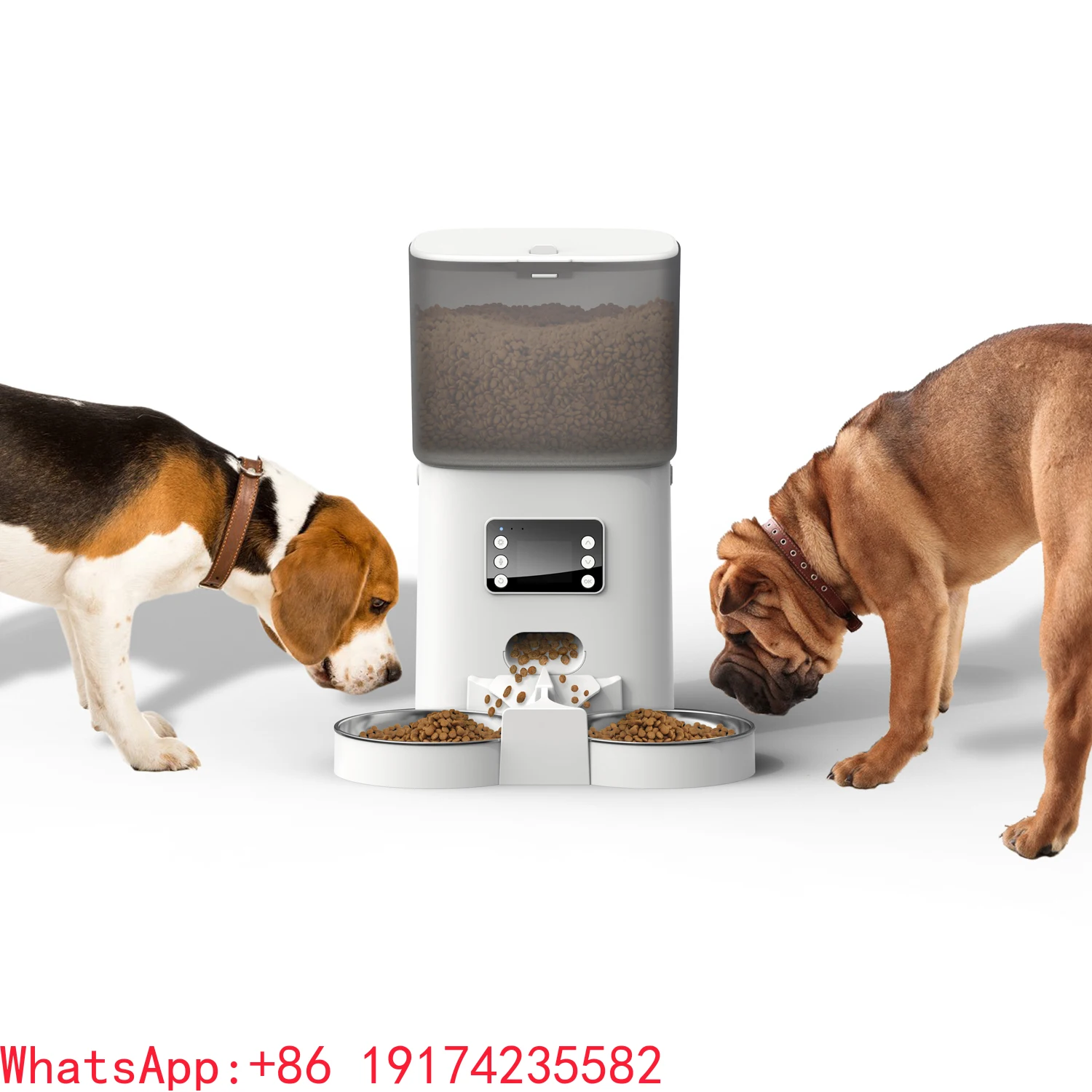

Two-Way Splitter and Double Bowls Voice Recorder Automatic Cat Feeder Pet Feeder Food Dispenser for Cat and Small Dog