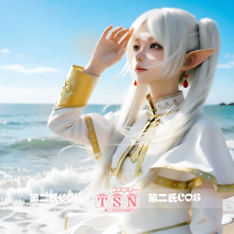 Frieren Sousou No Frieren Cosplay Wig Double Ponytails HighTemperature Fiber for Anime Game Halloween Party Christmas