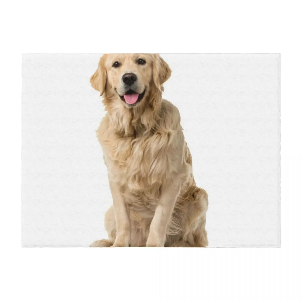 

Long-Haired Labrador Throw Blanket Heavy Single Loose Blankets