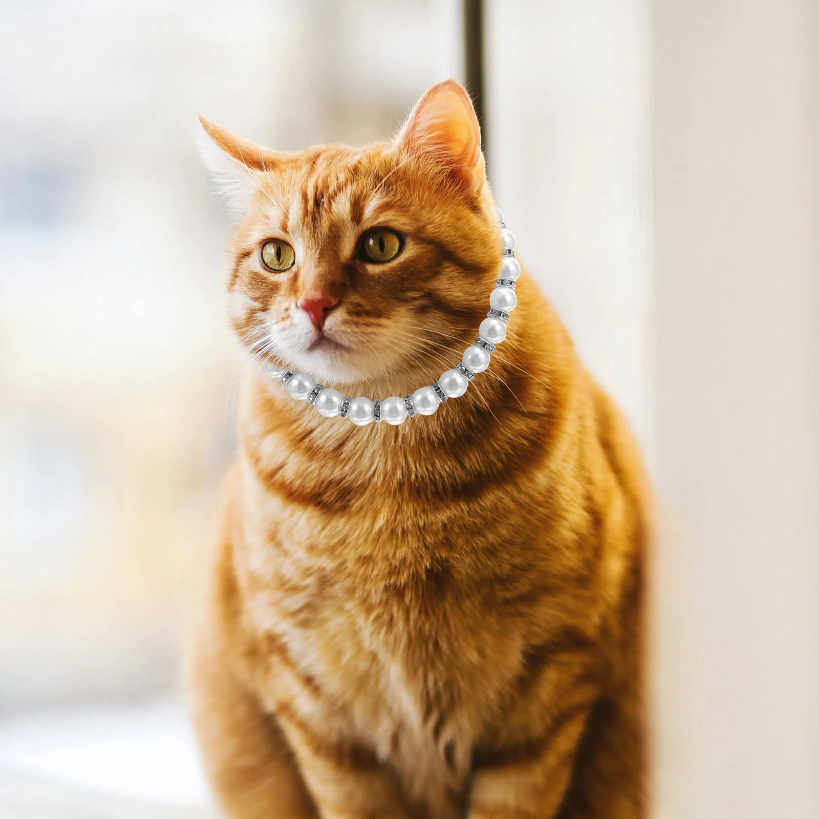 الكلب القط قلادة طوق تقليد اللؤلؤ بلينغ الملحقات الشريط القوس مجوهرات الأبيض مادة متينة مريحة تناسب