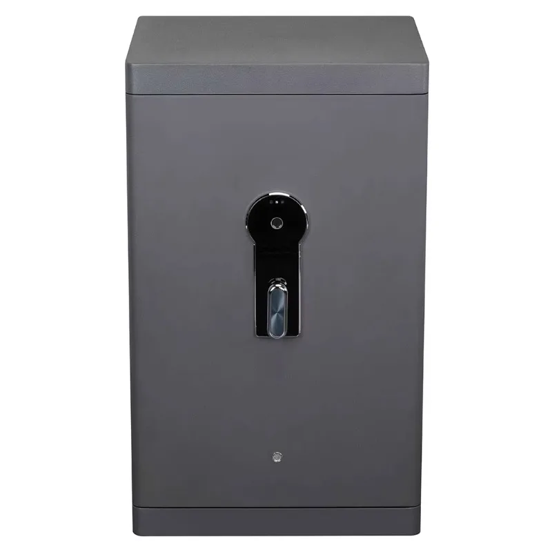Small Metal Money Safe Deposit Box Home Hotel Office Password Fingerprint Mini Wall Hidden Safe