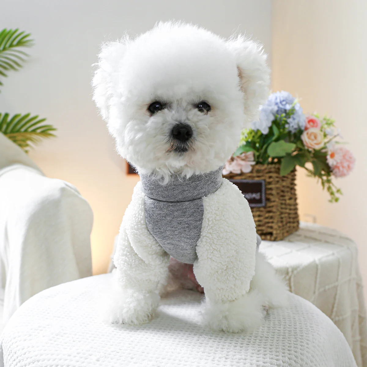 1PC pet clothing spring and autumn gray pullover, size 9 zipper jacket, suitable for small and medium-sized dogs