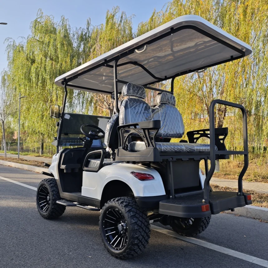 Golf Cart Double Wishbone Independent Suspension 6 Seats 72V Lithium Battery 4 Passengers New Energy Electric Four-Wheel Vehicle