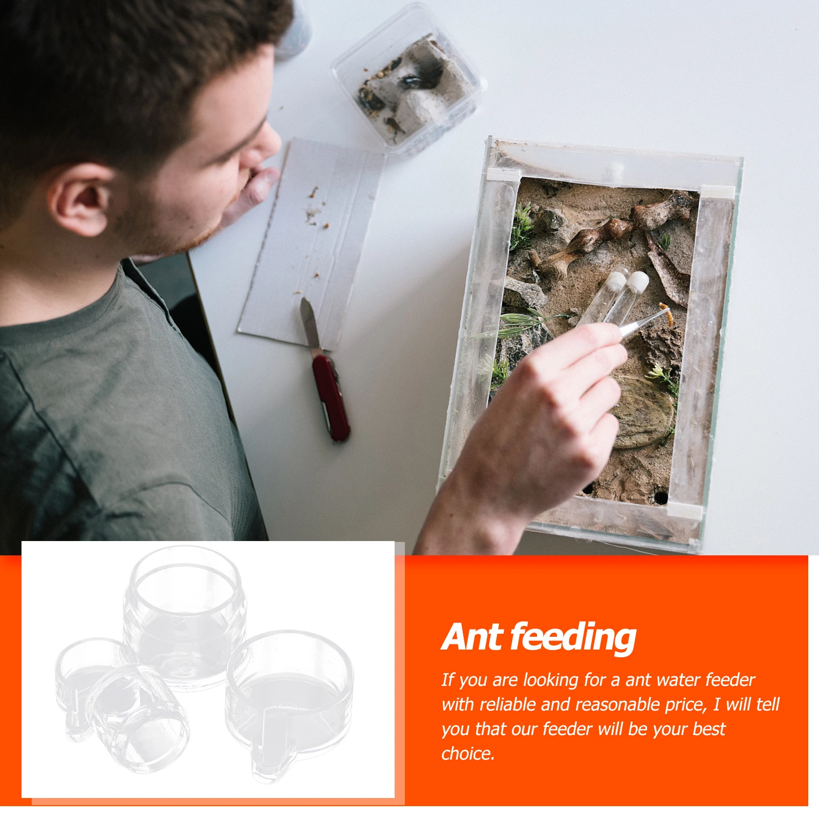 

2Pcs Ant Water Feeder Acrylic Toy Small D Large Food Bowl Animal Nest Feeding Area Insect Drinking Bowls Pet Supplies