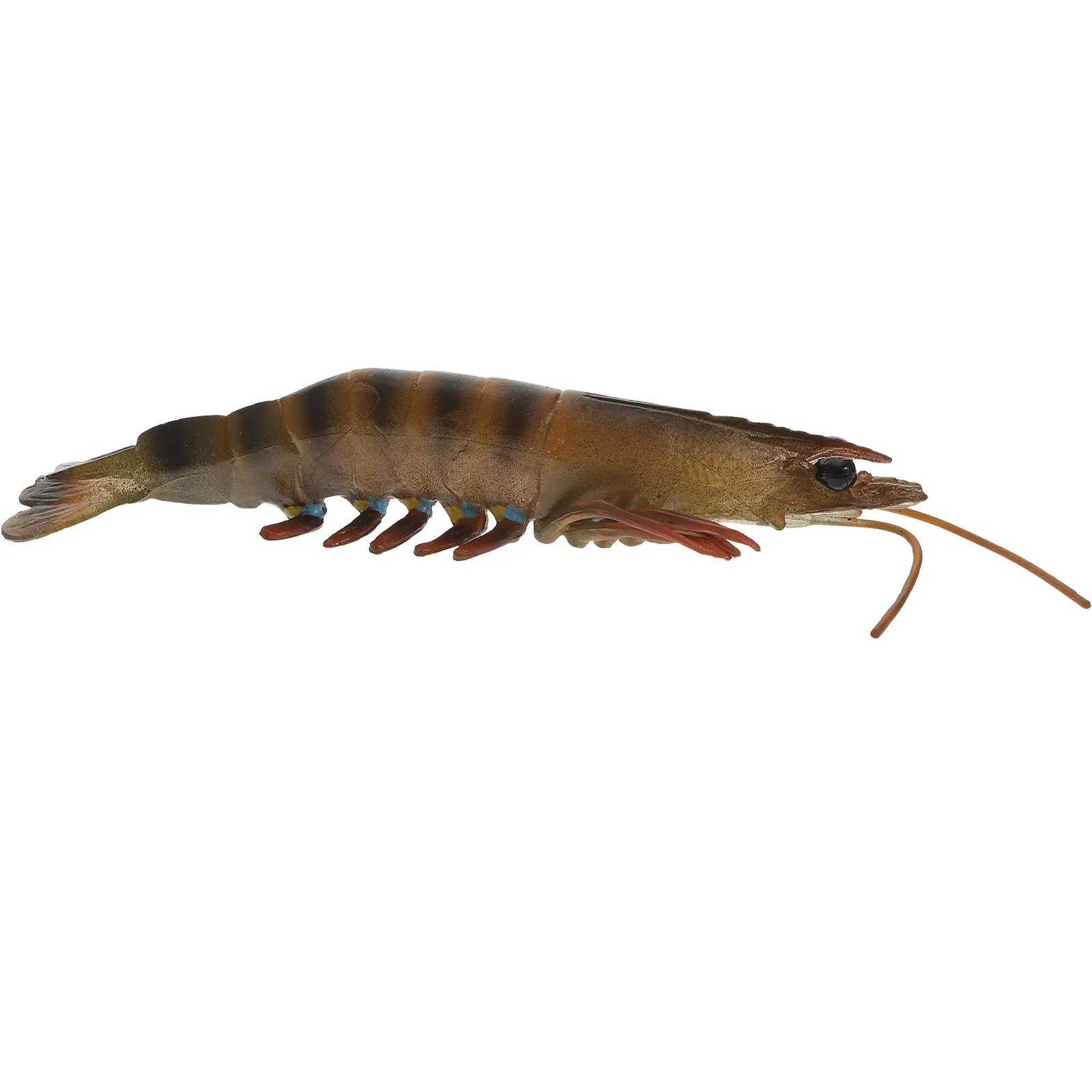 

Fake Shrimp Simulation Educational Plastic Kids Plaything Funny Children Accessory Ocean Party Favors Realistic Learning Shrimp