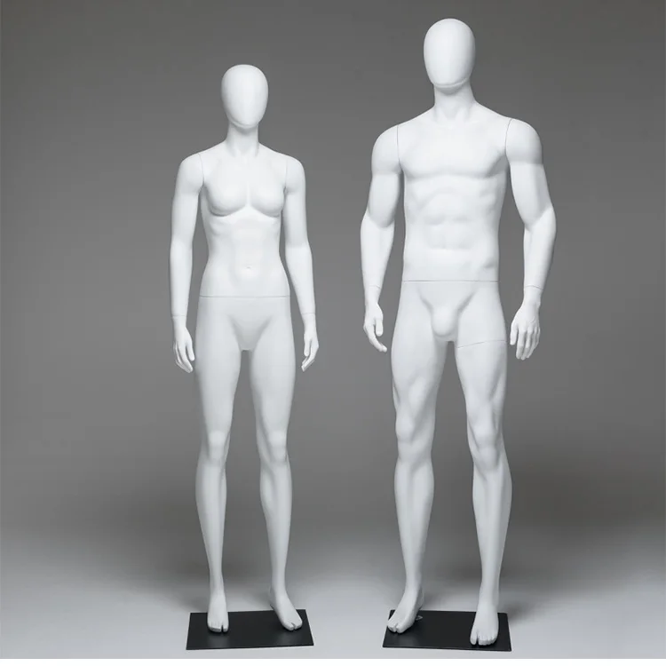 

Whole Body Muscle Mannequin Muscle Model Female and Male Style