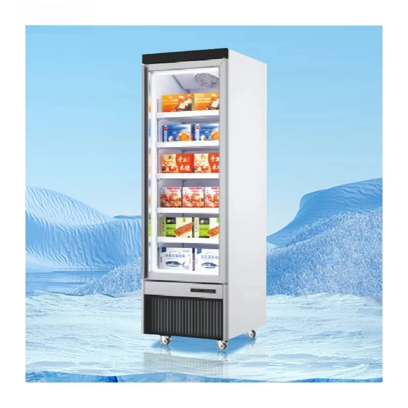 620D 450L Commercial Vertical European Display Cabinet Full Screen Single Upright Freezers for Household and Hotel Use