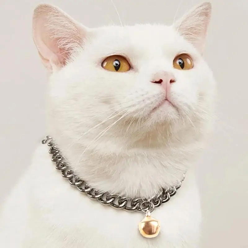 L93C 100pc Small Jewelry Charts