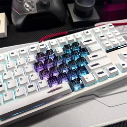 Love Theme Transparent PC Keycaps Mechanical Keyboard Blank 1U 1X Ctrl Alt FN Cherry Profile Backlit RGB DIY Gamer Clear Keycap