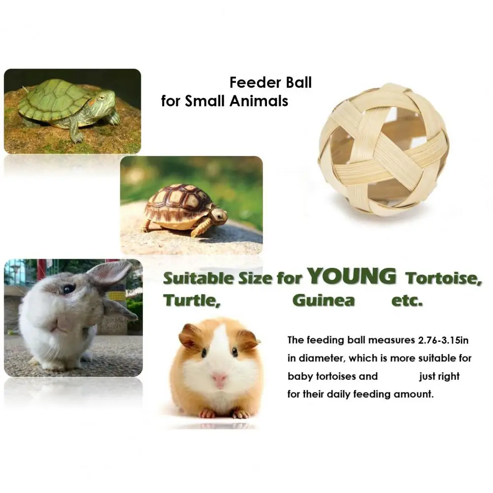 Turtle Training Toy Turtle Training Set with Fruit Vegetable Feeding Ball Mini Skateboard Toy Anti-slip for Small for Turtles