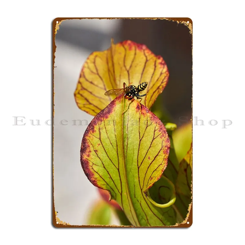 Carnivorous Plant Metal Plaque Poster Character Painting Custom Pub Club Tin Sign Poster