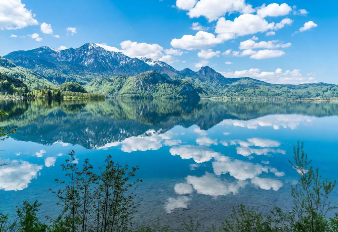 Gpm Brass Medium Ge…