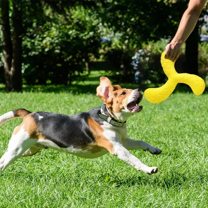 Flying Discs Dog Training Toy Swimming Pool Floating Dog Interactive Toys Puller Resistant Chewing for Small Medium Dogs