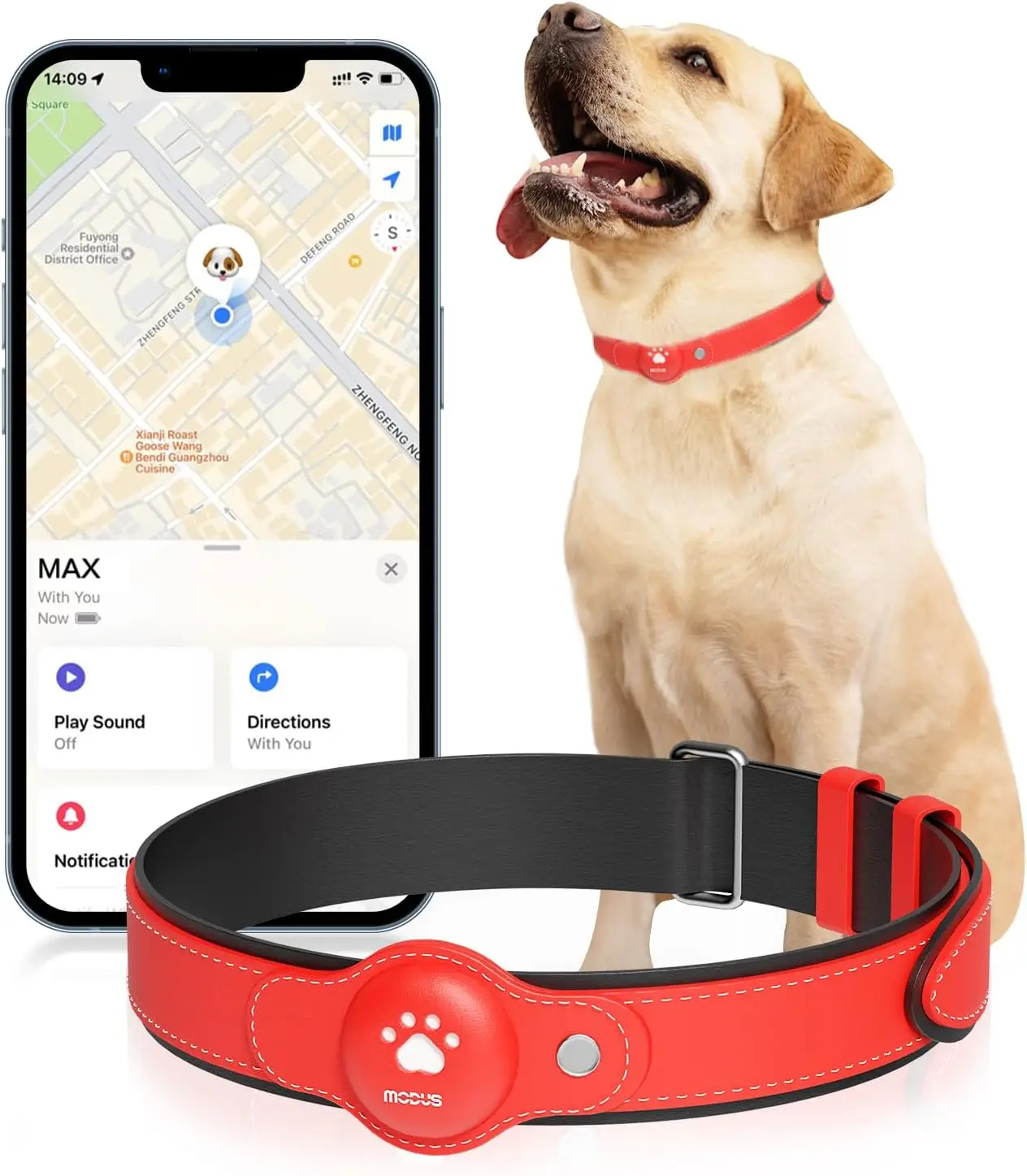 

Dog GPS Tracker, 2-in-1 Pet Tracking Smart Collar (iOS Only), Real-time Location/no Monthly Fee/unlimited Range Tracking Device