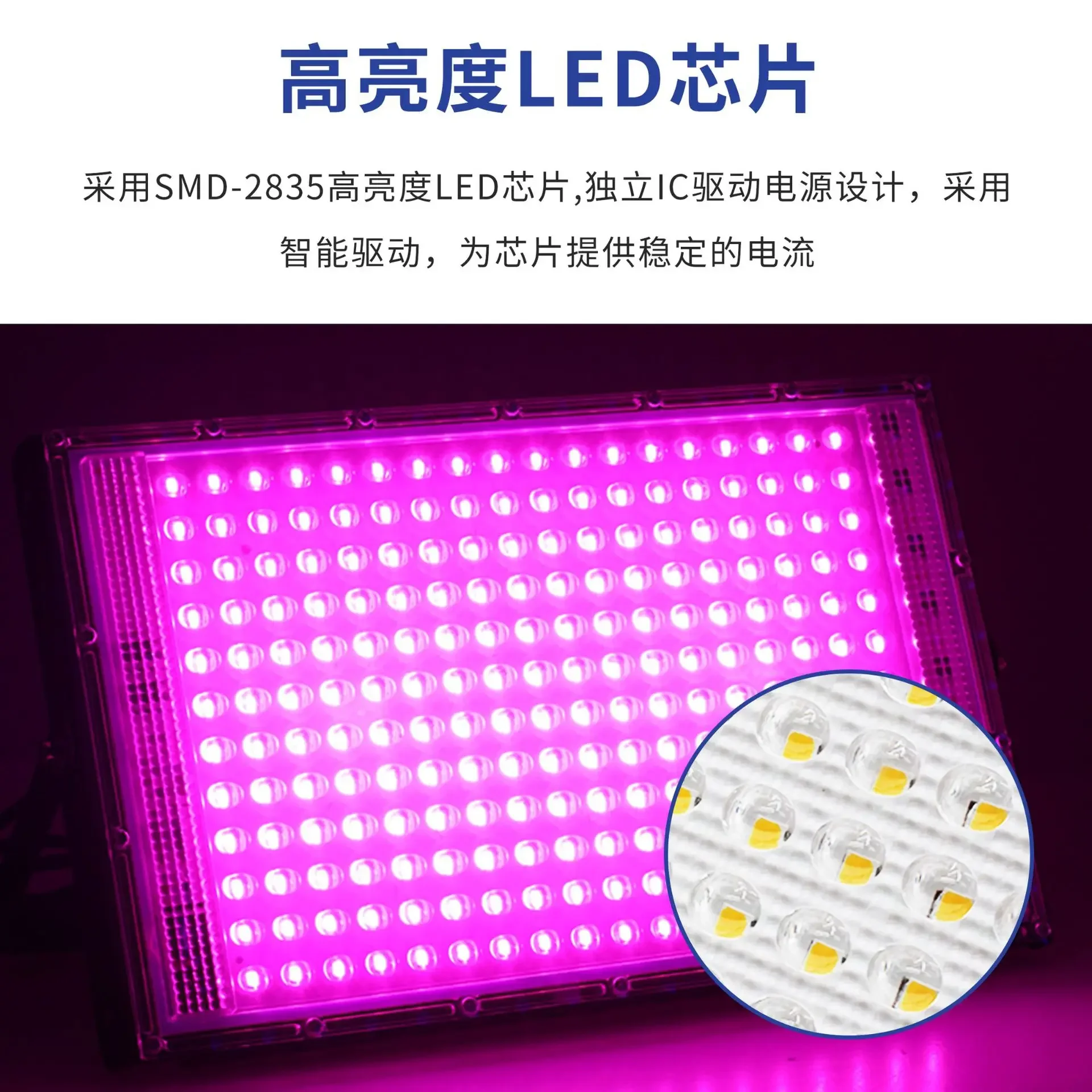 EU Plug 220V Pink Full Spectrum Phyto Lamp 50W 100W 200W 300W LED Grow Lights For Greenhouse Hydroponic Plant Growth Lighting